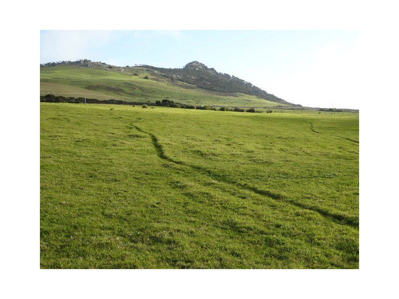 839 Lady Barron Road, Ranga, Flinders Island TAS 7255