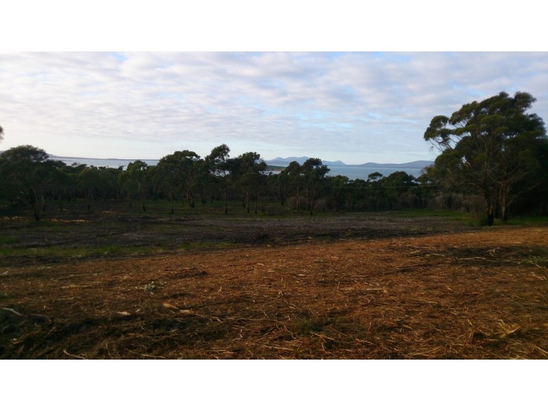 274 Badger Corner Road, Lady Barron TAS 7255