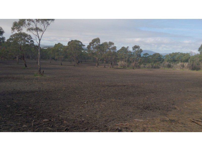 274 Badger Corner Road, Lady Barron TAS 7255