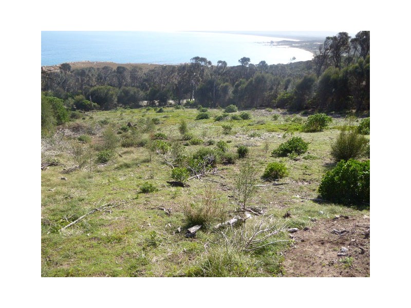 PID 1504921 Port Davies Road, Emita TAS 7255