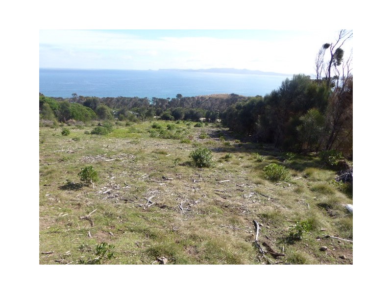 PID 1504921 Port Davies Road, Emita TAS 7255