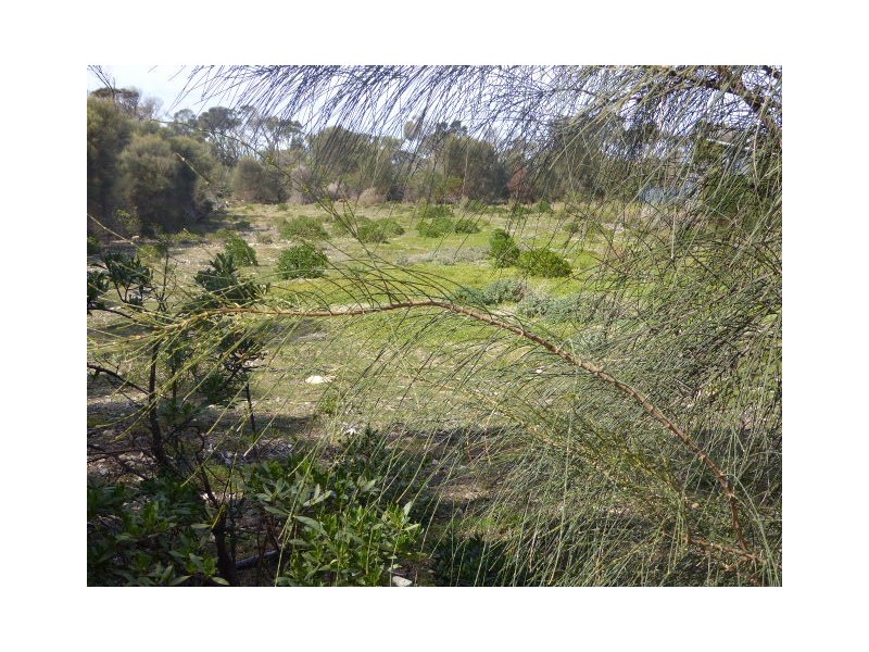 PID 1504921 Port Davies Road, Emita TAS 7255