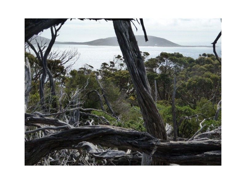 281 Edens Road, Palana, Flinders Island TAS 7255