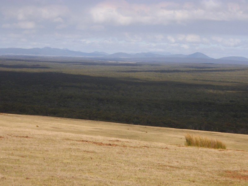 PID 1859992 North East River Road, Palana TAS 7255