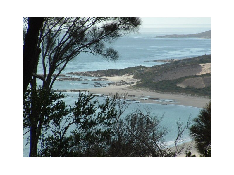 PID 7664133 Palana Road, Palana TAS 7255