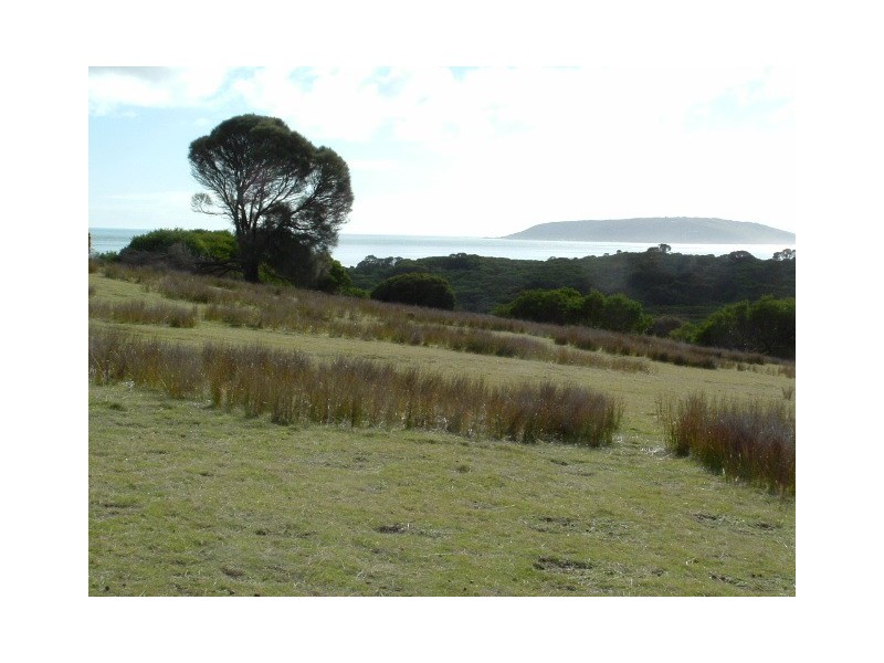 PID 7664133 Palana Road, Palana TAS 7255