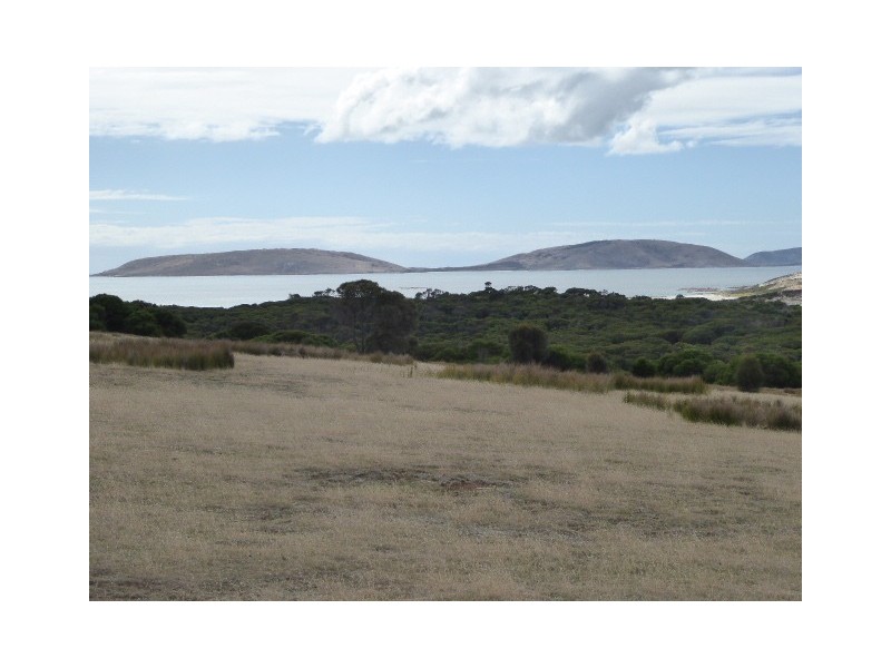 PID 7664133 Palana Road, Palana TAS 7255