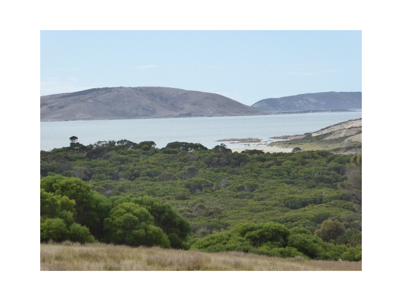 PID 7664133 Palana Road, Palana TAS 7255