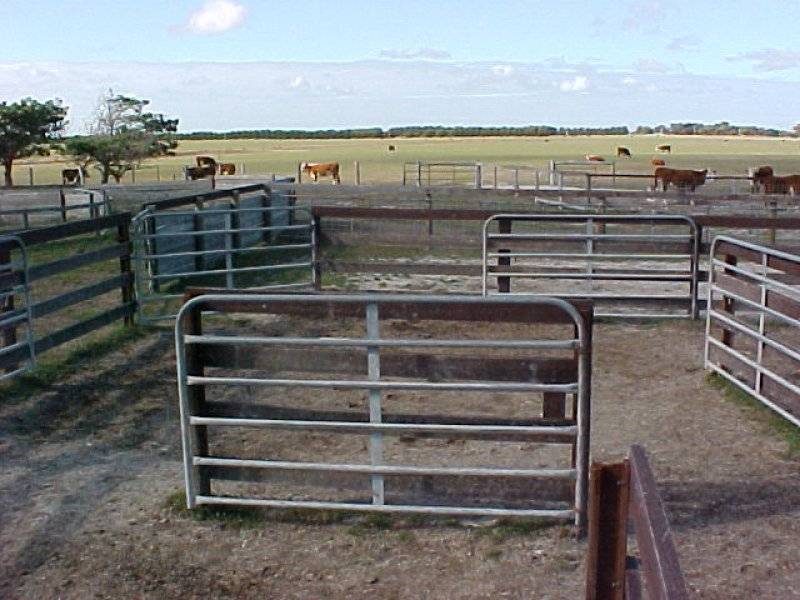 1455 Memana Road, Flinders Island TAS 7255