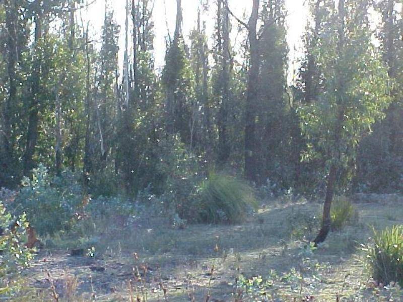 . . Memana Road, Flinders Island TAS 7255