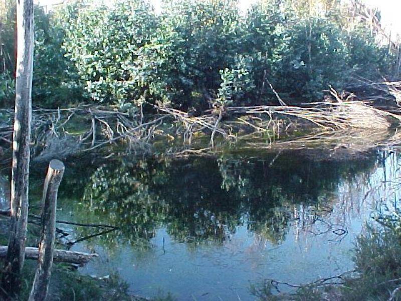 . . Memana Road, Flinders Island TAS 7255