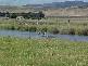 Lot 1 Whitemark, Flinders Island TAS 7255