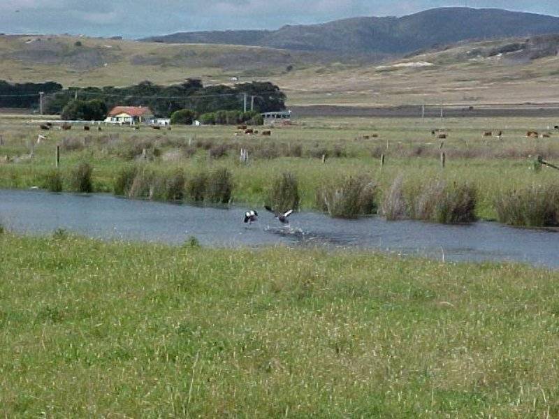 Lot 1 Whitemark, Flinders Island TAS 7255