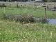 Lot 1 Whitemark, Flinders Island TAS 7255