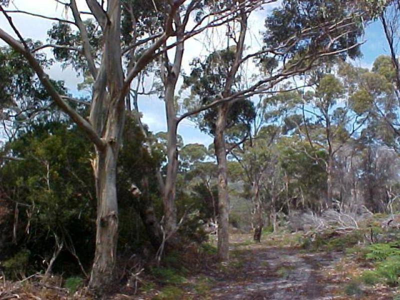 Lot 2 Boat Harbour Road, Flinders Island TAS 7255