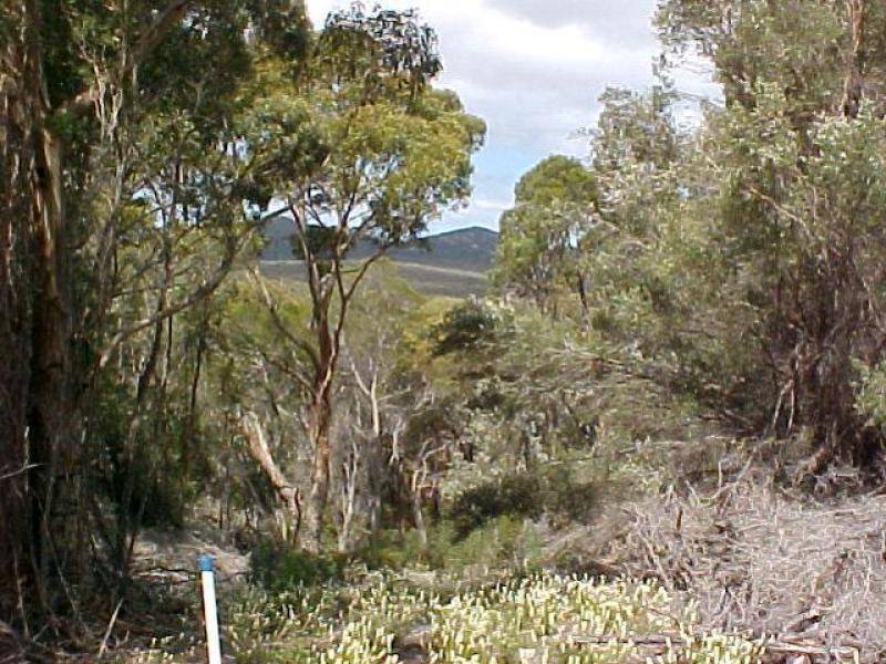 Lot 2 Boat Harbour Road, Flinders Island TAS 7255