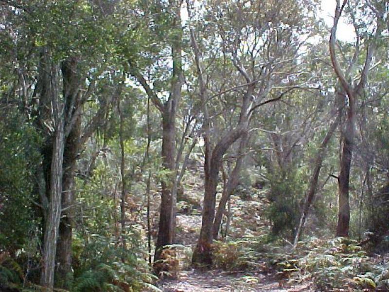 Lot 2 Boat Harbour Road, Flinders Island TAS 7255
