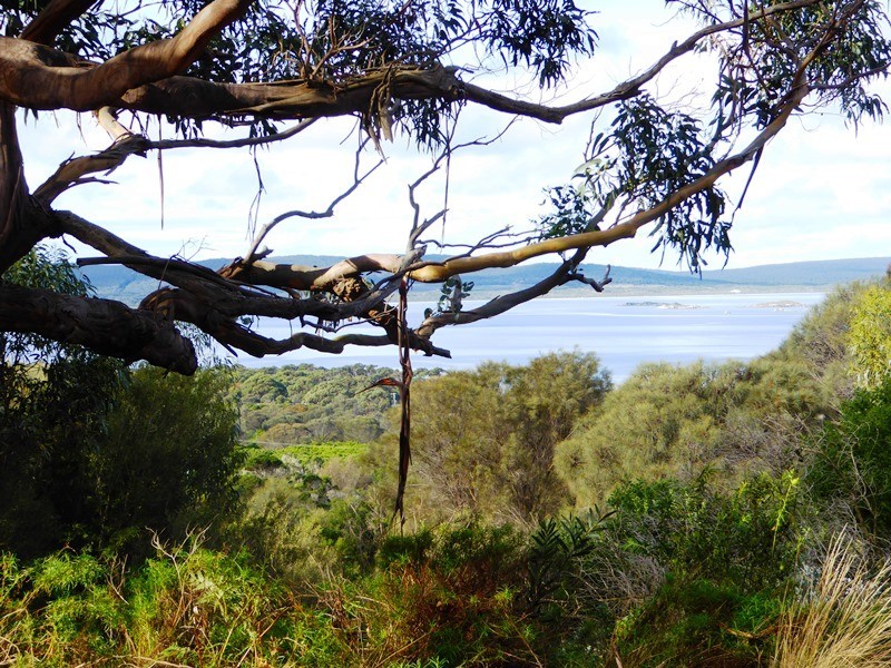 640 West End Road, Leeka, Flinders Island TAS 7255