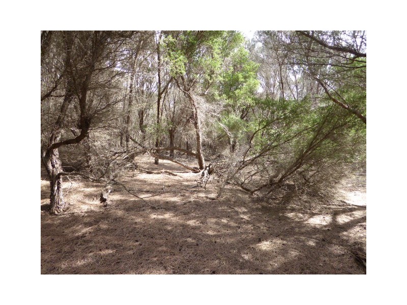 8843/4 West End Road, Leeka TAS 7255