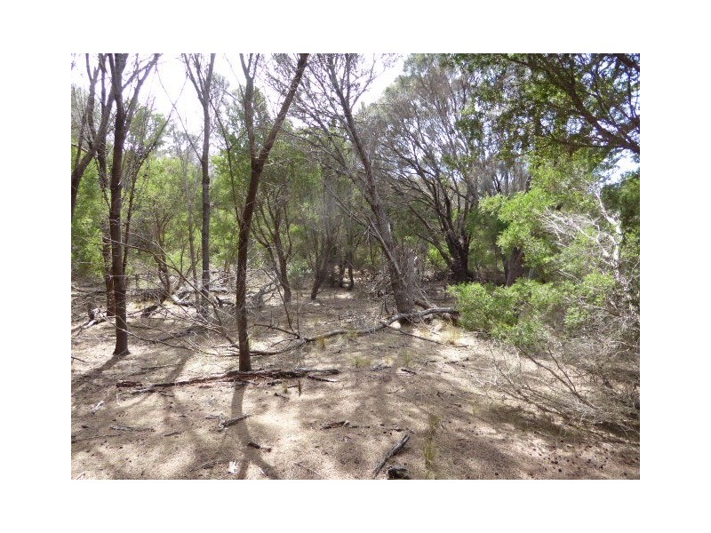 8843/4 West End Road, Leeka TAS 7255