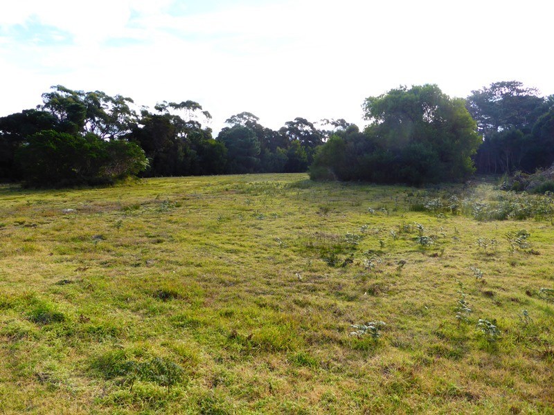 17 Barr Street, Lady Barron TAS 7255