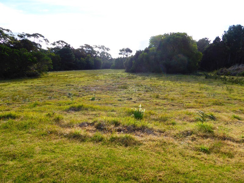 17 Barr Street, Lady Barron TAS 7255