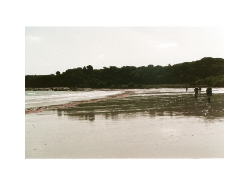 . Thunder and Lightning Road, Cape Barron Island, Flinders Island TAS 7255
