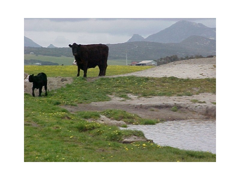 195 Lees Road, Memana, Flinders Island TAS 7255