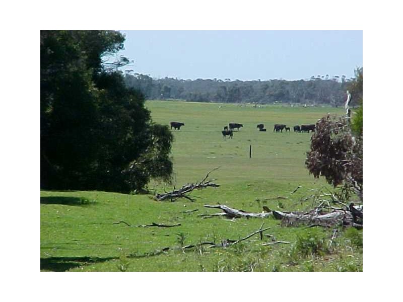 Fairhaven, Anderson Road, Flinders Island TAS 7255