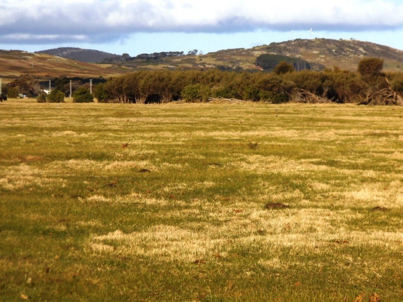 PID 3228211 Palana Road, Whitemark TAS 7255