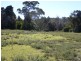 Lot 3 Pot Boil Road, Lady Barron TAS 7255