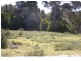 Lot 3 Pot Boil Road, Lady Barron TAS 7255