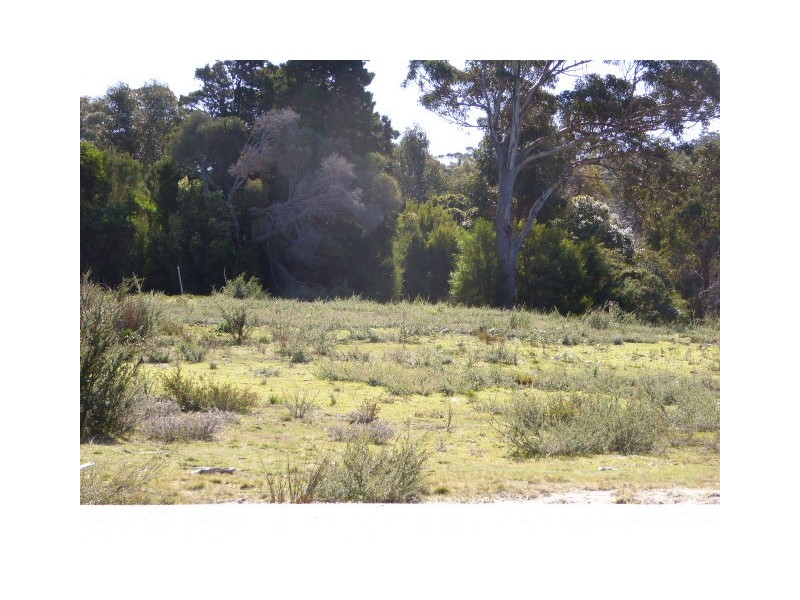 Lot 3 Pot Boil Road, Lady Barron TAS 7255