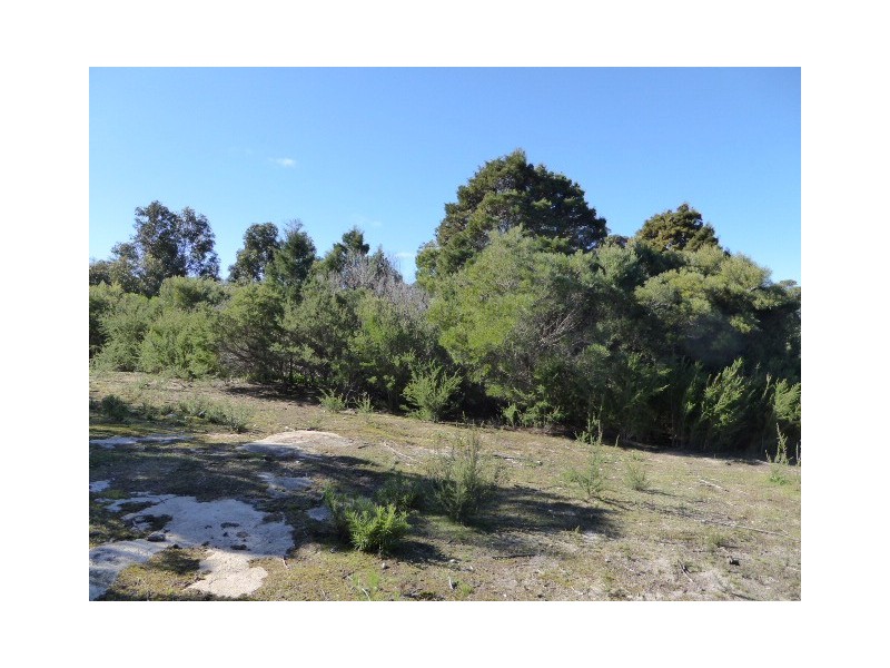 Lot 3 Pot Boil Road, Lady Barron TAS 7255
