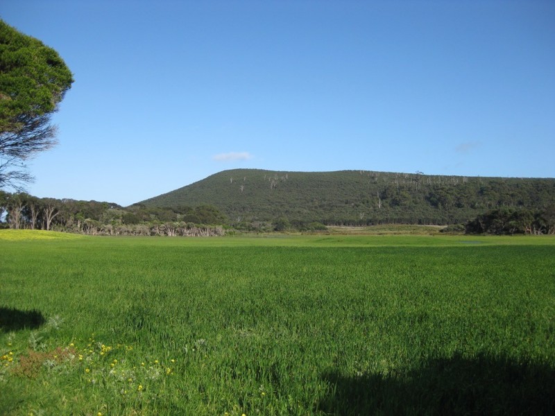 948 Palana Road, Whitemark TAS 7255