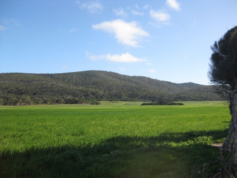 948 Palana Road, Whitemark TAS 7255