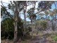 Lot 2 Boat Harbour Road, Flinders Island TAS 7255