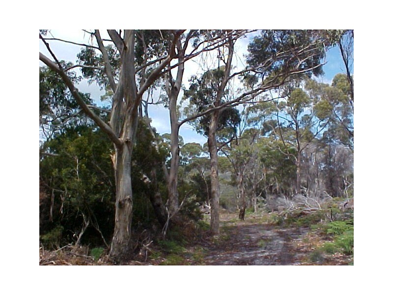 Lot 2 Boat Harbour Road, Flinders Island TAS 7255