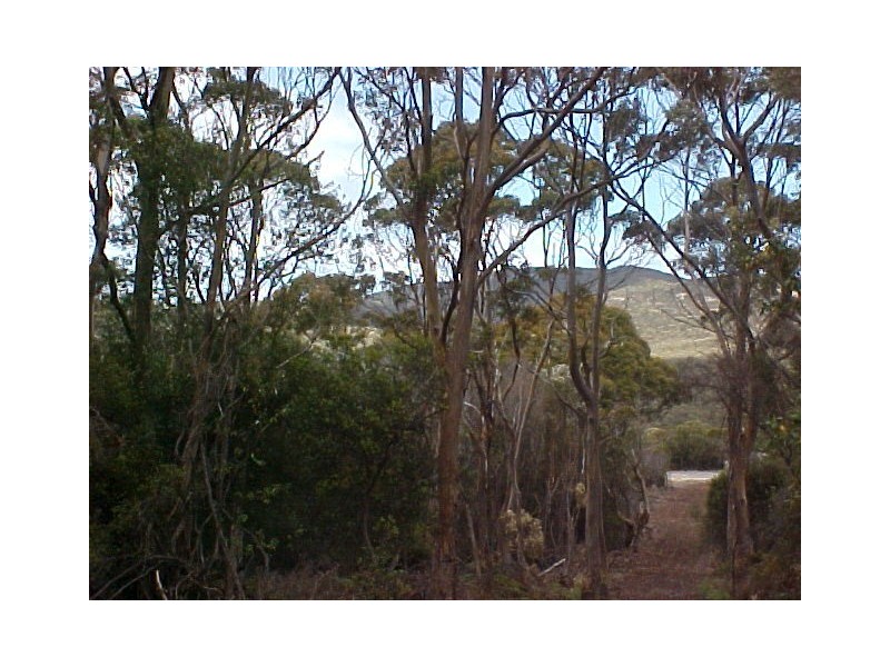 Lot 2 Boat Harbour Road, Flinders Island TAS 7255