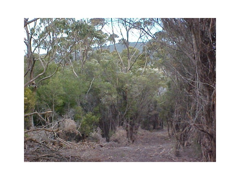 Lot 2 Boat Harbour Road, Flinders Island TAS 7255