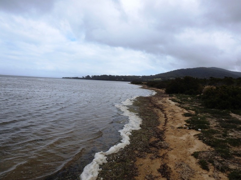 31 Badger Corner Road, Lady Barron TAS 7255