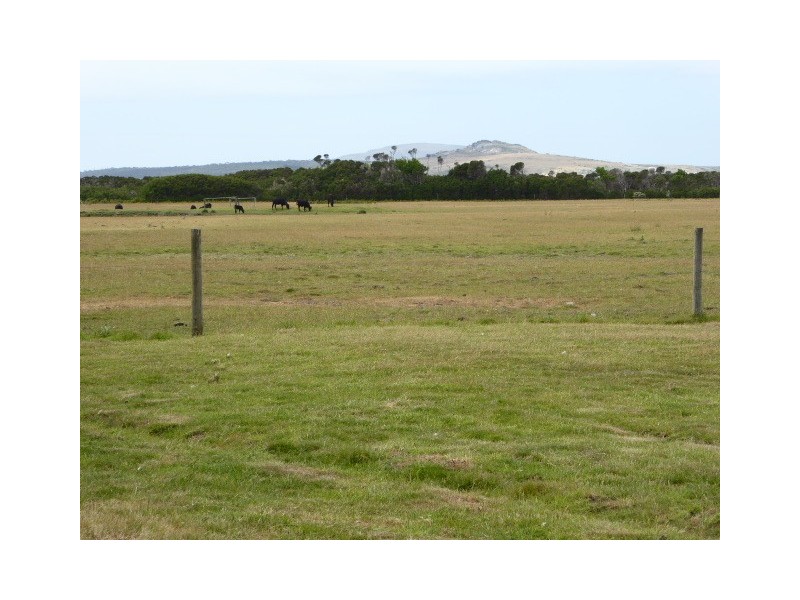 31 Badger Corner Road, Lady Barron TAS 7255