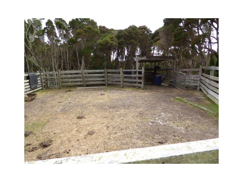 31 Badger Corner Road, Lady Barron TAS 7255