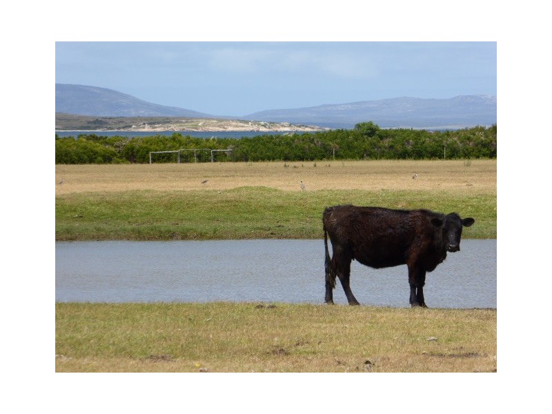 31 Badger Corner Road, Lady Barron TAS 7255