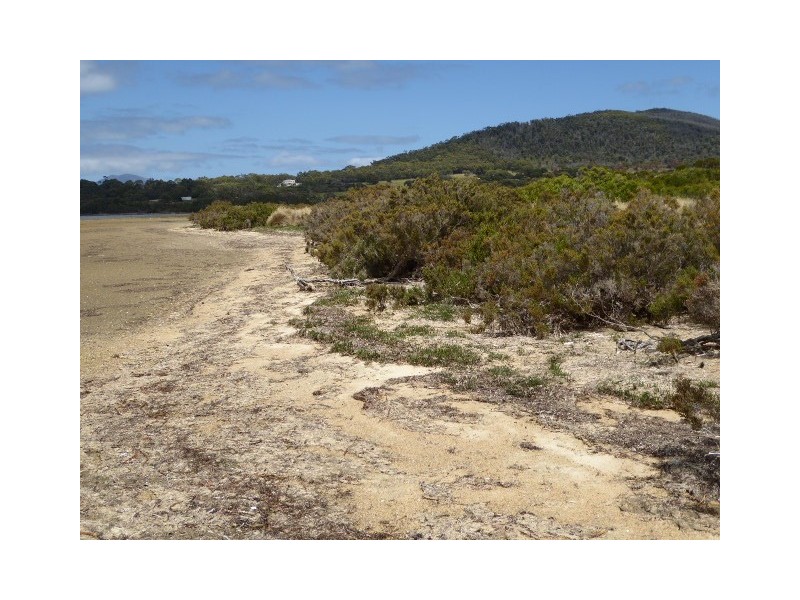 31 Badger Corner Road, Lady Barron TAS 7255