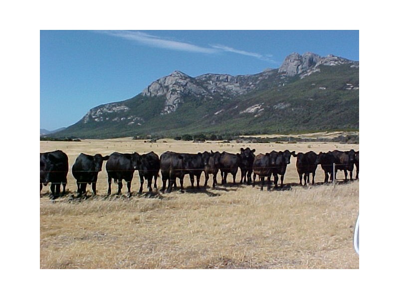 Trousers Point Road, Flinders Island TAS 7255