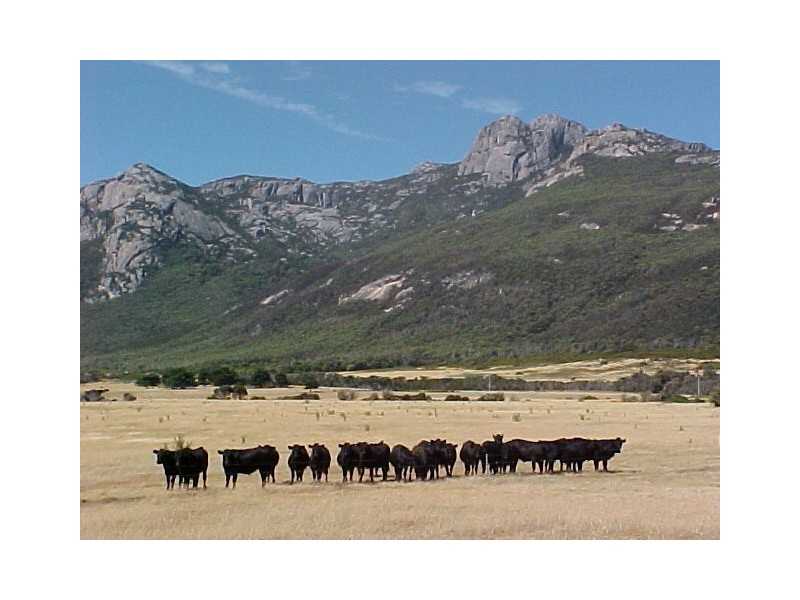 Trousers Point Road, Flinders Island TAS 7255