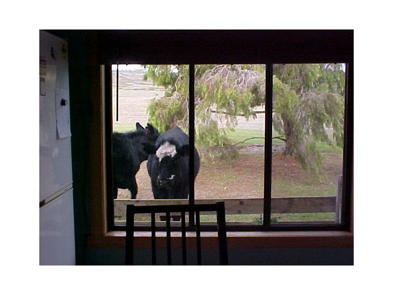 55 Westleigh Road, Flinders Island TAS 7255