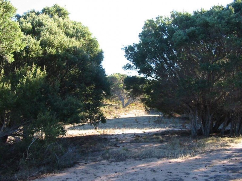 PID 6431717 Thunder and Lightning Road, Cape Barren Island TAS 7257