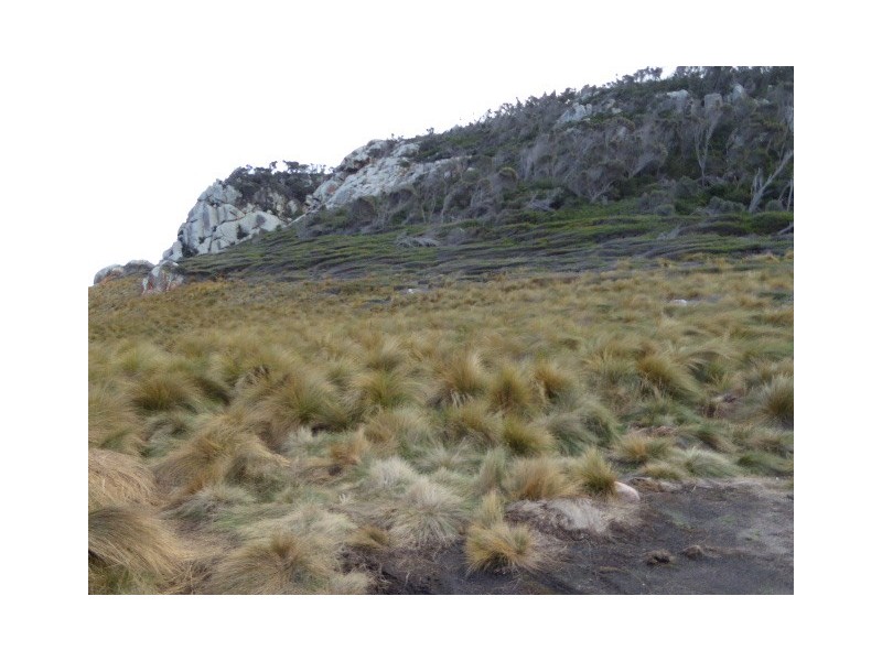 Lots 10 and 12 West End Road, Leeka TAS 7255